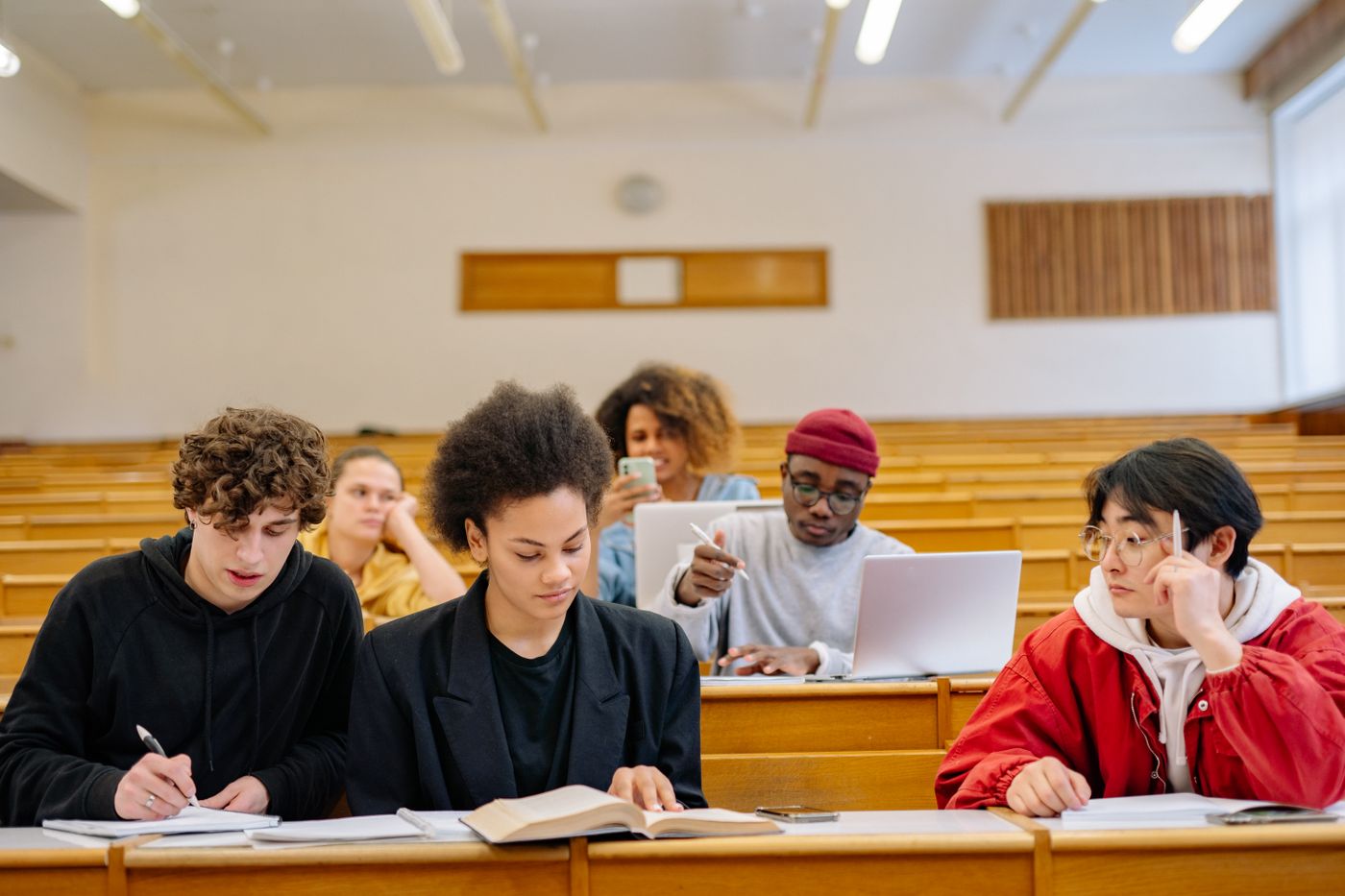 Students studying together